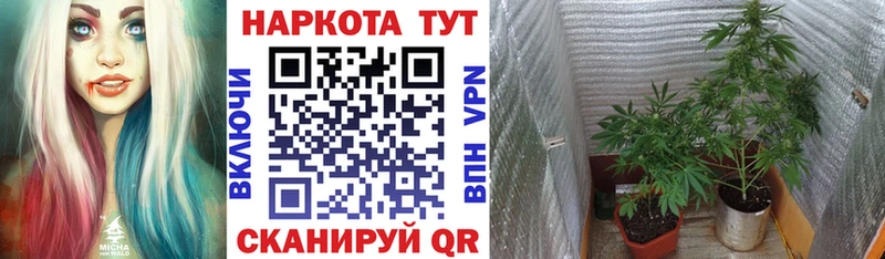 Магазины продажи наркотиков Бирюч Галлюциногенные грибы  КОКАИН  МЕТАДОН  ГАШ  Каннабис  СК 