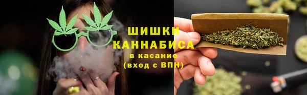 гашик Алексеевка