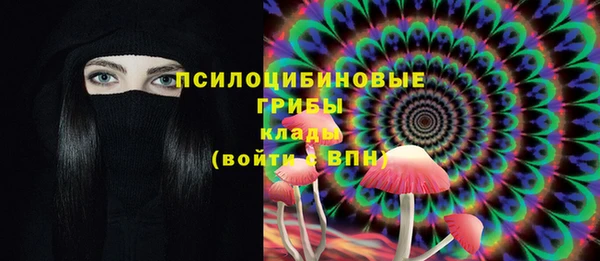 2c-b Алексин