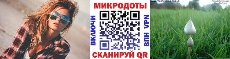 OMG зеркало  Бирюч  Галлюциногенные грибы MAGIC MUSHROOMS 